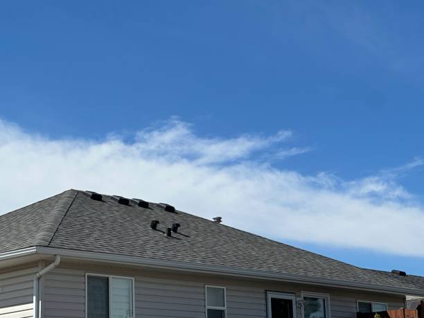 Best Asphalt Shingle Roofing  in Dalton, OH